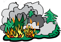 Waldbrand